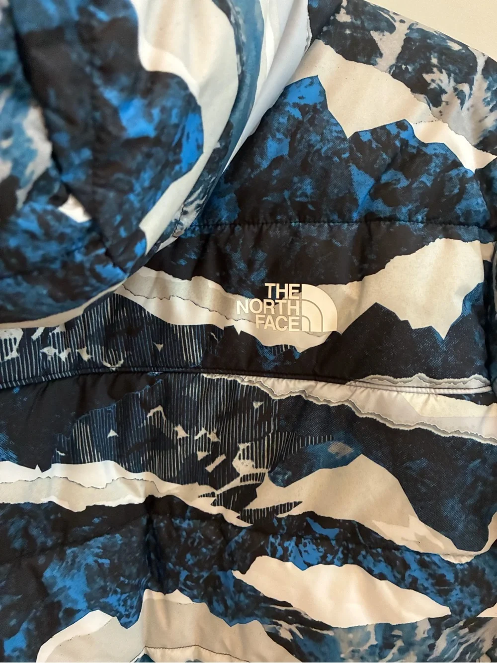 The North Face Kids Blue, Navy & White Mountain-Print Puffer Jacket